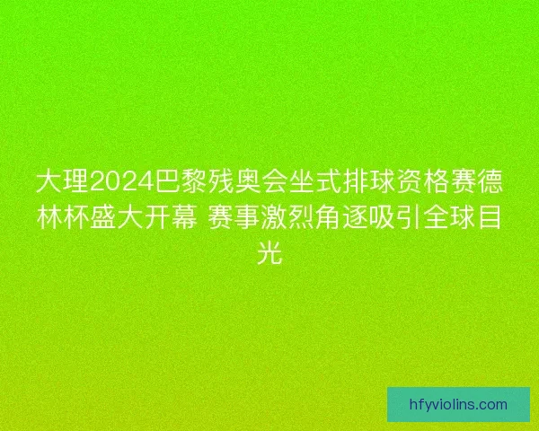 大理2024巴黎残奥会坐式排球资格赛德林杯盛大开幕 赛事激烈角逐吸引全球目光